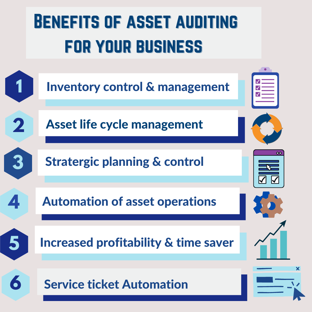 Asset Audit